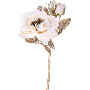 Rosa inglese - Pezzi 12 - 14xH48x12cm - Bianchi Dino SpA