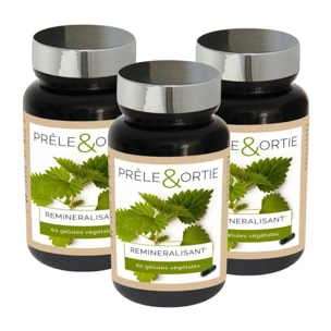 NUTRI EXPERT - Prêle & Ortie - Facilite l'élimination des toxines - Contribue au bon fonctionnement de l'organisme - Vegan - 60 gélules végétales - Marque Française - Extraits de plantes - Lot de 3