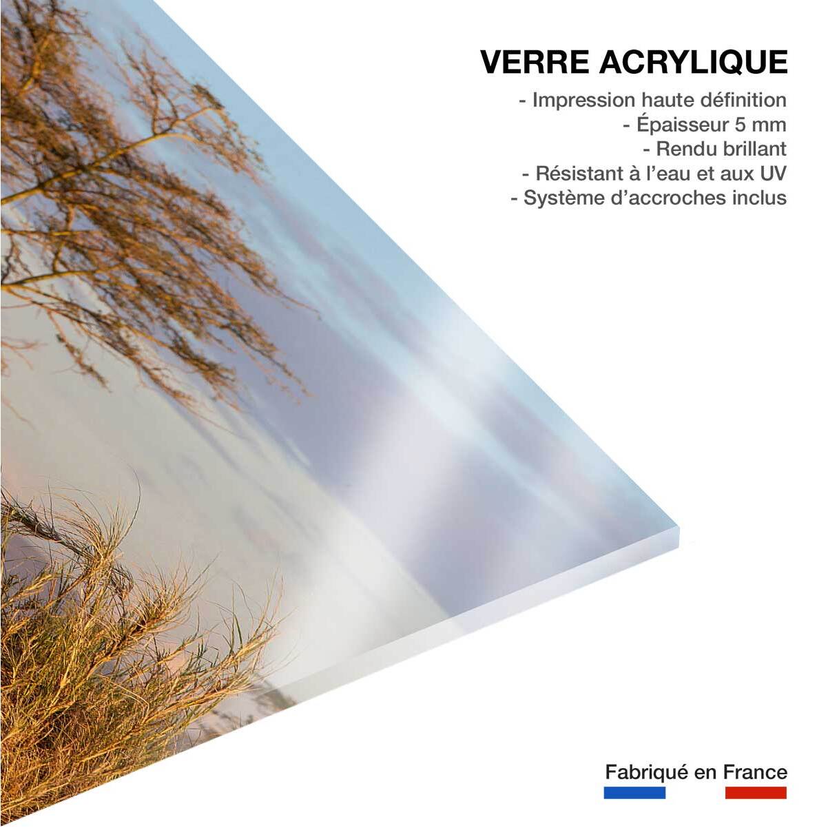 Tableau Lionnes Tableau plexiglas