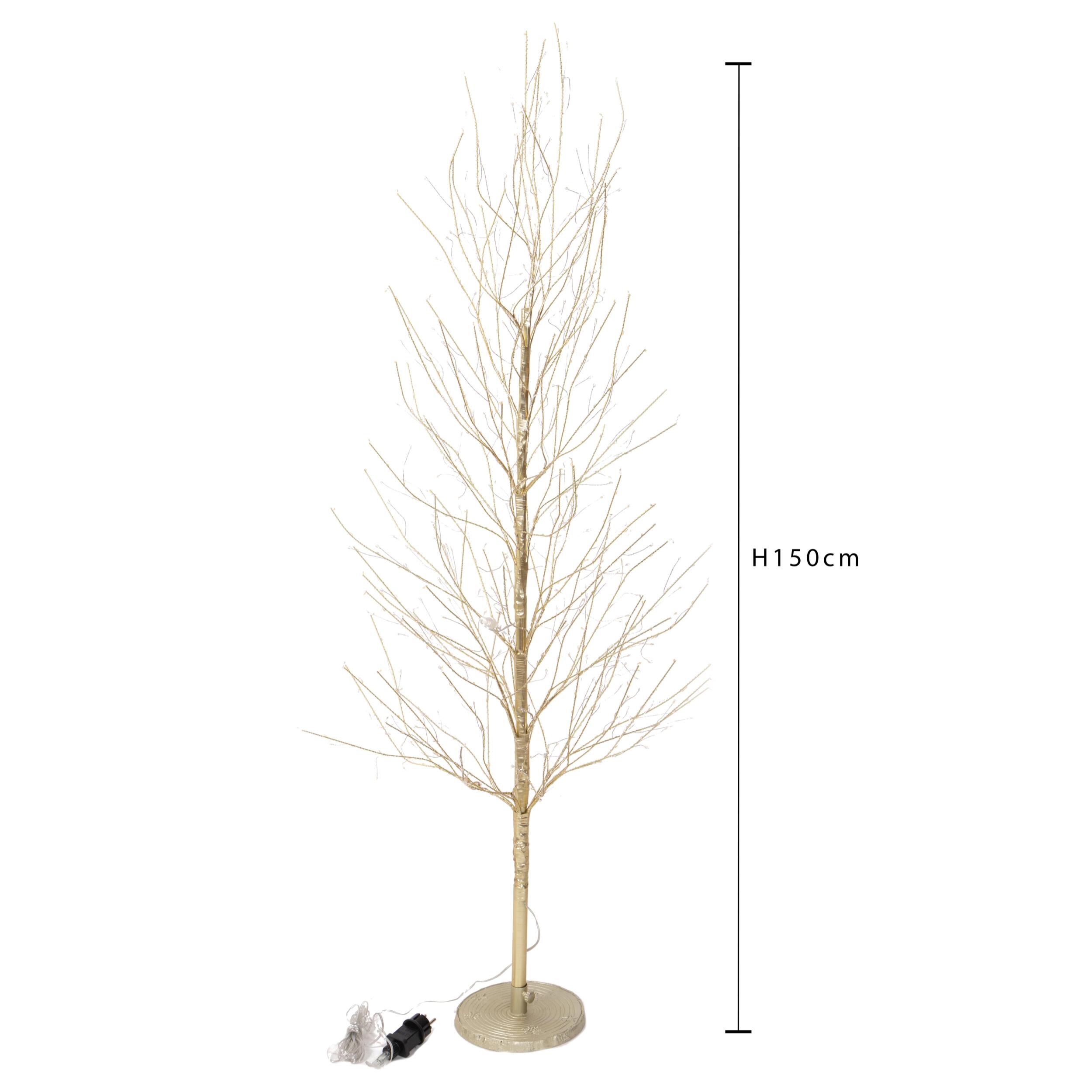 Faggio - Pezzi 1 - 25xH180x25cm - Bianchi Dino SpA