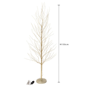 Faggio - Pezzi 1 - 25xH180x25cm - Bianchi Dino SpA