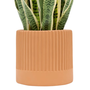Plante artificielle Nippo H.78cm marron