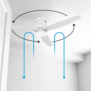 Ventilateur plafonnier TAURUS POLAR 3B PURE