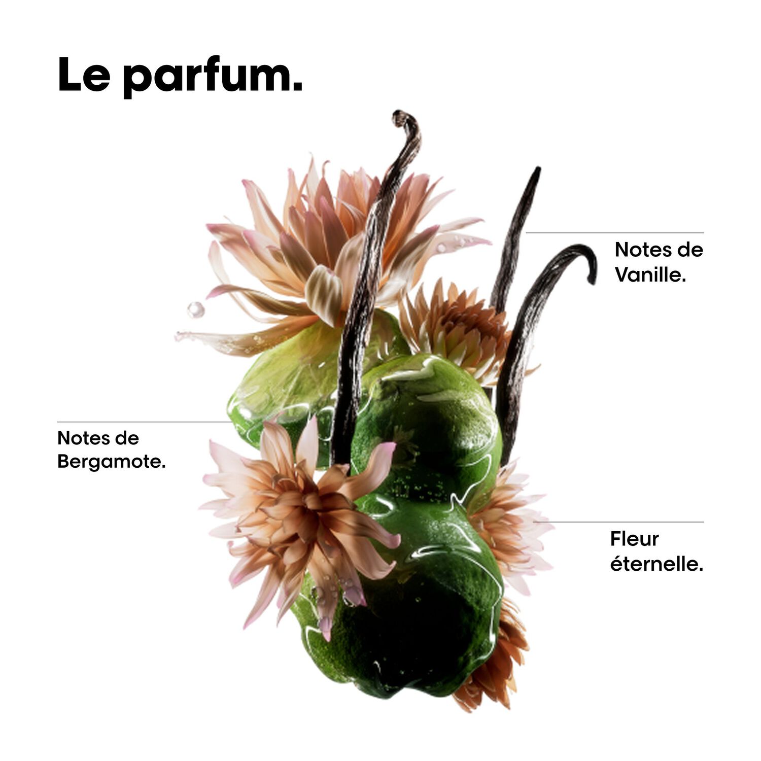 Serie Expert Absolut Repair Molecular - Shampooing Réparateur