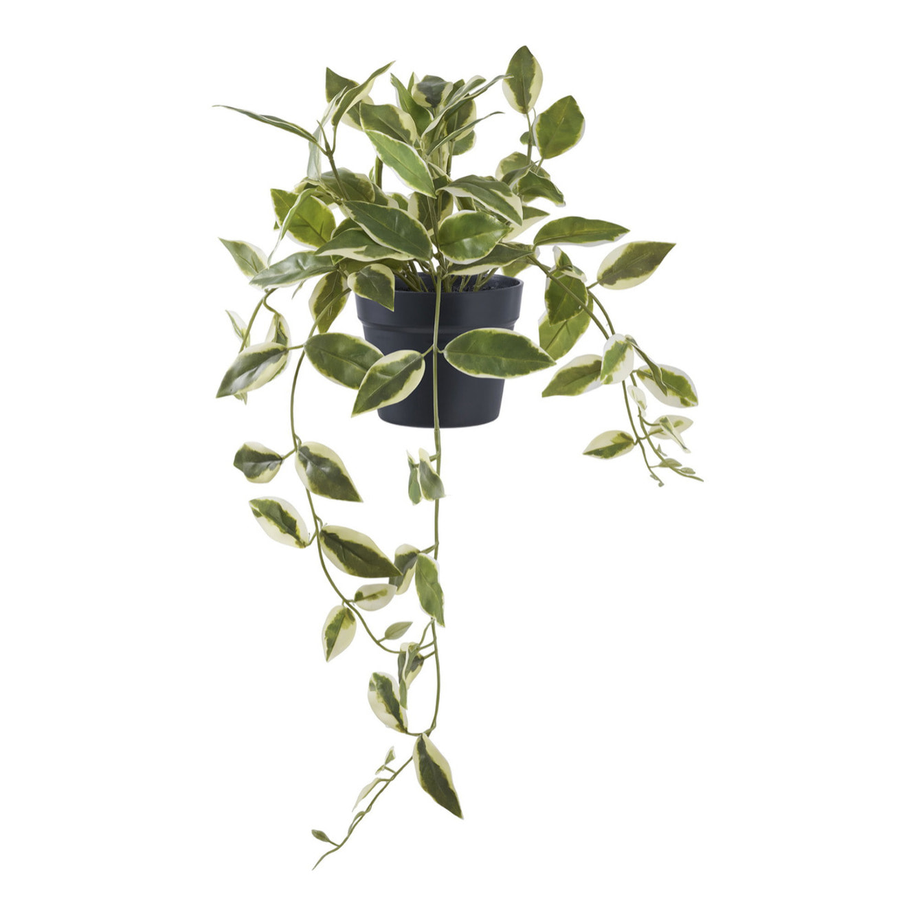 Hoya Carnosa - Pianta succulenta artificiale verde H33 cm