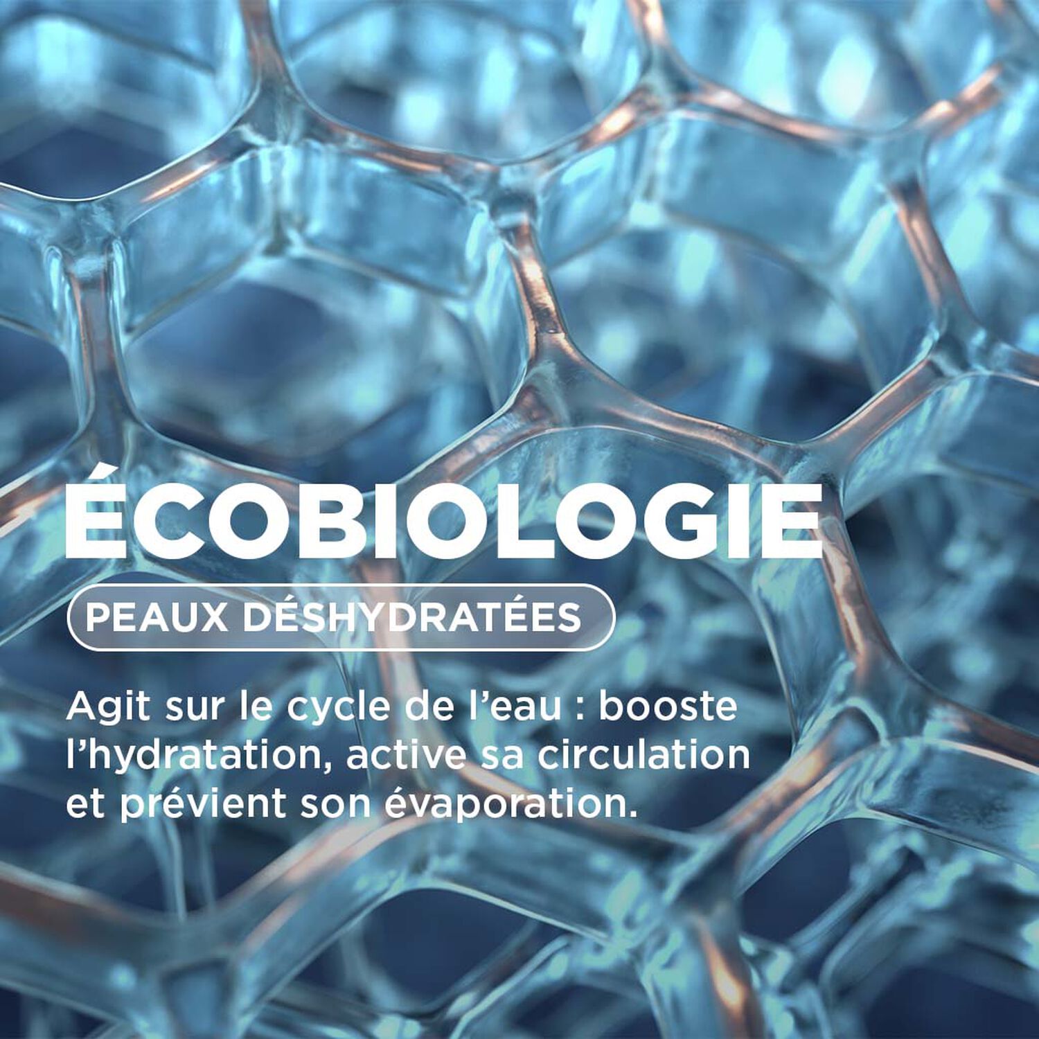 Hydrabio - Crème d'eau hydratante 72h