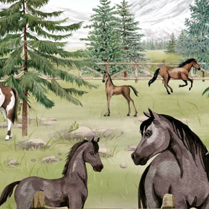 Papier peint chevaux et western chambre garçon Intissé
