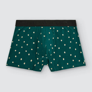 Boxer
