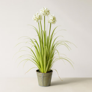 Agapanthe artificielle à fleurs blanches pot en zinc h99cm