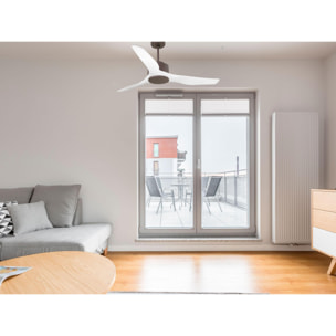 Ventilateur de plafond ø127 cm avec Wifi Réversible Hypersilence 40   W Chocolat