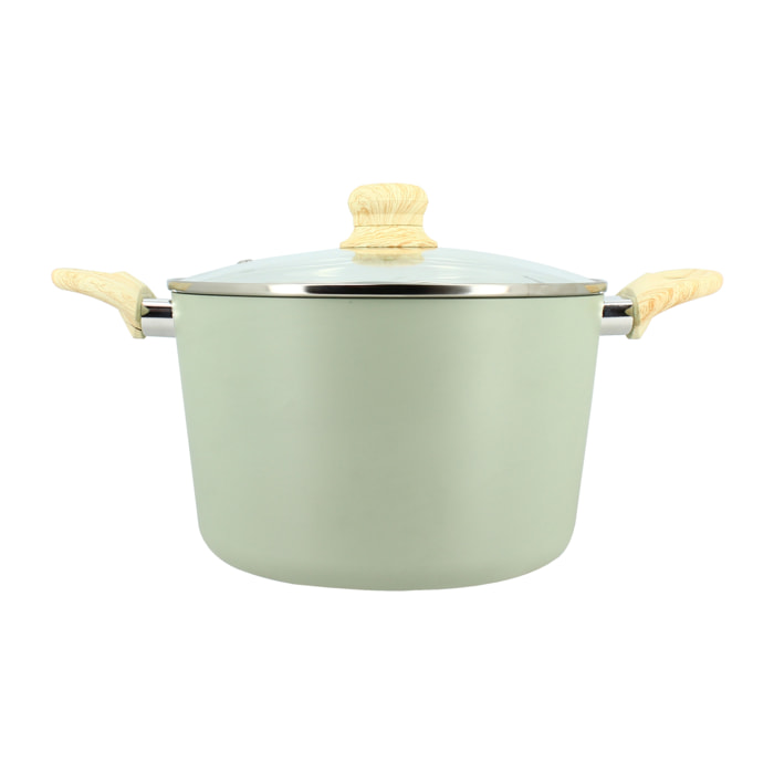 FAITOUT CELADON 24CM EN ALUMINIUM INDUCTION AVEC COUVERCLE EN VERRE