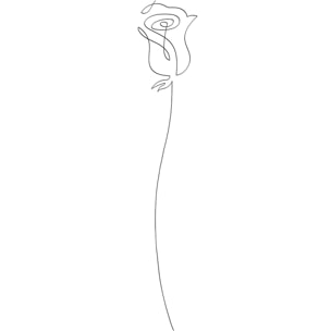 Tableau Bouton de rose croquis Toile imprimée