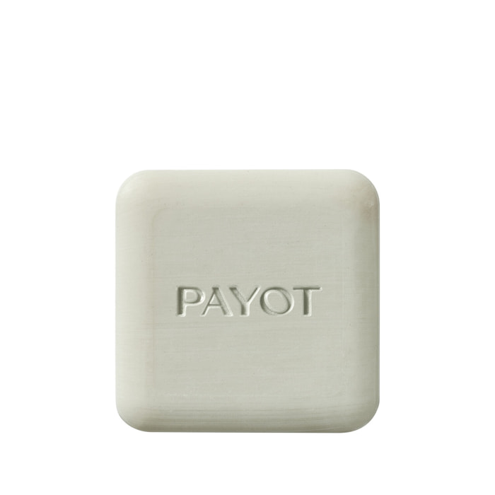 Pâte Grise - Pain Nettoyant Purifiant