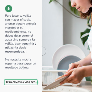 PLANETA HUERTO | Pack 6x Lavavajillas Manual Té Verde ECO 5 L | Detergente Ecológico Concentrado para una Limpieza Eficiente y Sostenible