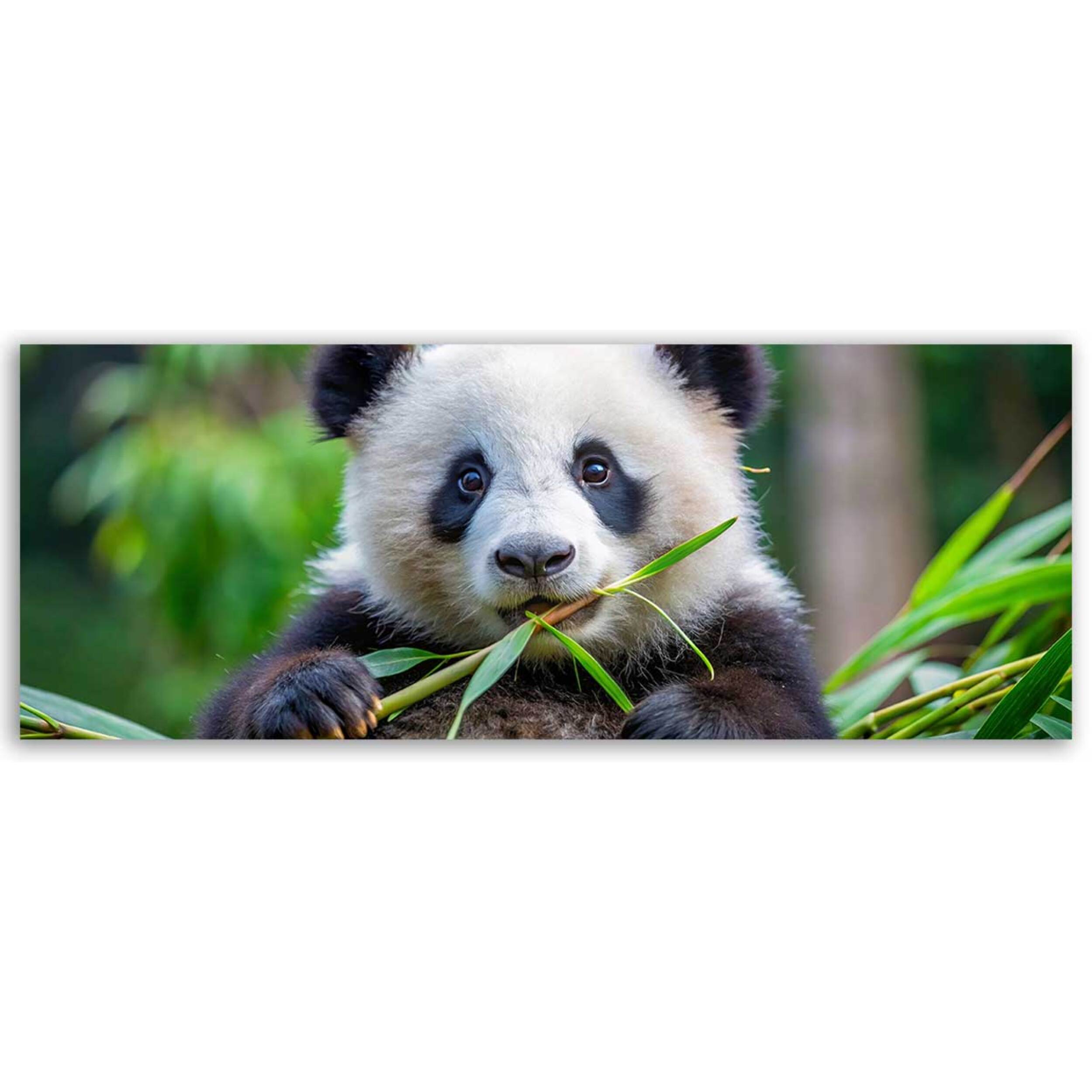Tableau panoramique panda nature bambou Toile imprimée