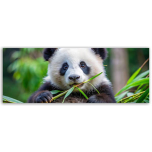 Tableau panoramique panda nature bambou Toile imprimée
