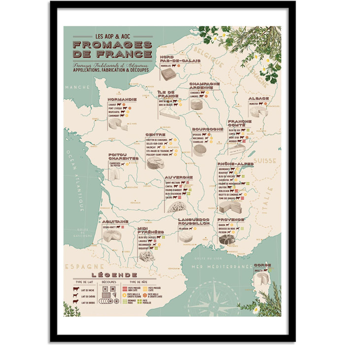 Affiche - Carte des fromages de France - Frog Posters