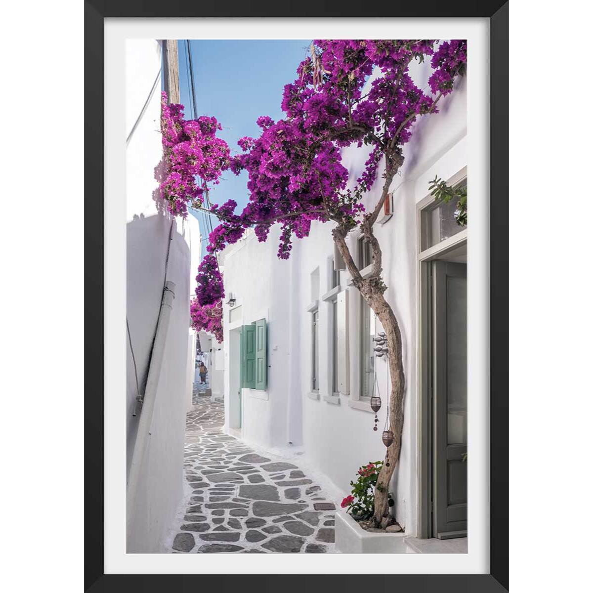 Poster bougainvilliers paros Affiche + cadre en bois - Noir