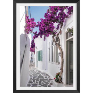 Poster bougainvilliers paros Affiche + cadre en bois - Noir