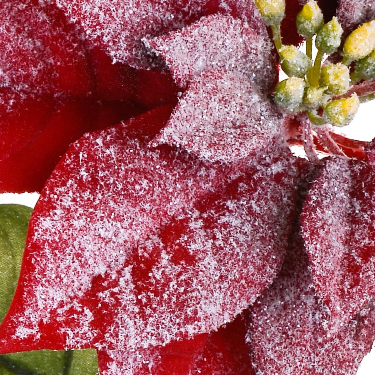 Stella - Pezzi 24 - 21xH72x21cm - Bianchi Dino SpA