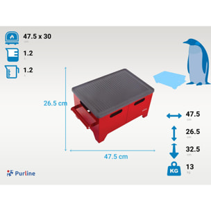 Barbacoa de etanol 1.2L en acero negro y plancha de hierro BB01 PURLINE