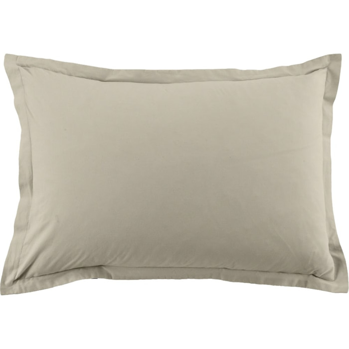 Lot De 2 Taies D'oreiller 100% Coton 57fils Latte