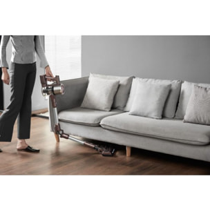 Aspirateur balai EUREKA AK10PRO