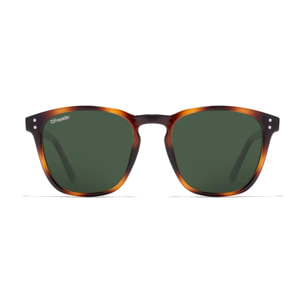 Gafas de Sol Ultra Light SQ High D.Franklin