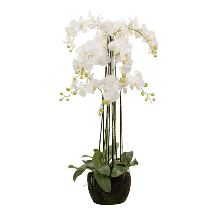 Orquidea Poliester Blanca Con Maceta 60x60x115 Cm