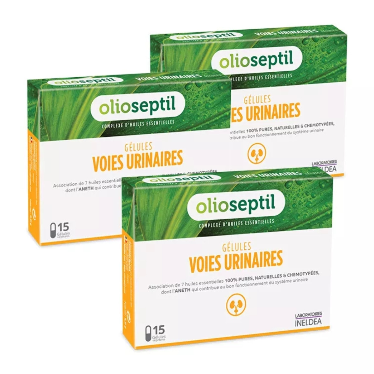 OLIOSEPTIL® - Gélule Voies Urinaires - Contribue au bon fonctionnement du système urinaire - Complexe de 7 Huiles Essentielles Pures et Chémotypées - Gélules Végétales L-Vcaps® - Lot de 3