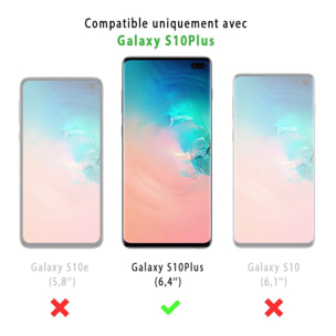 Coque Samsung Galaxy S10 Plus Antichoc Silicone + 2 Vitres en verre trempé Protection écran