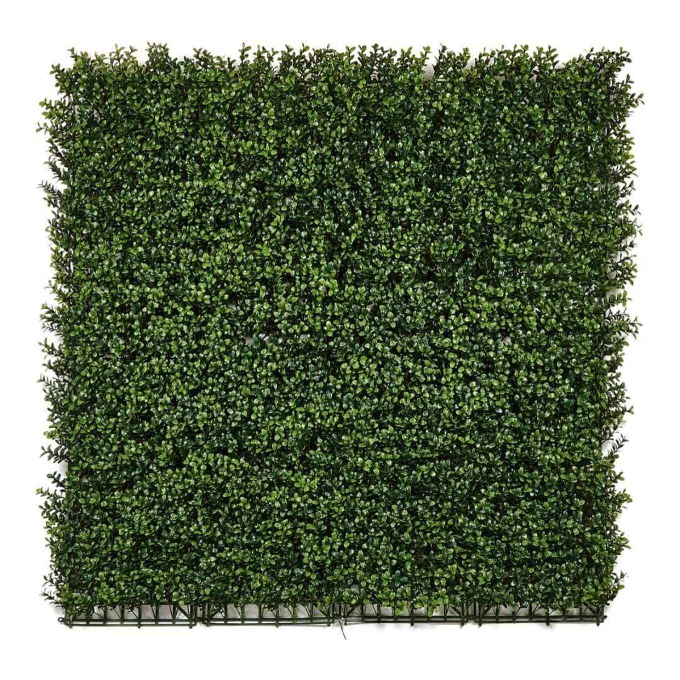 Rollo Jardin Vertical Boj 100 X 100 Cm