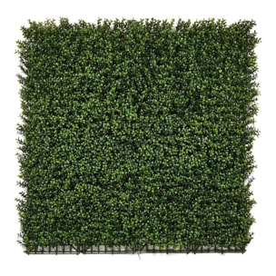 Rollo Jardin Vertical Boj 100 X 100 Cm