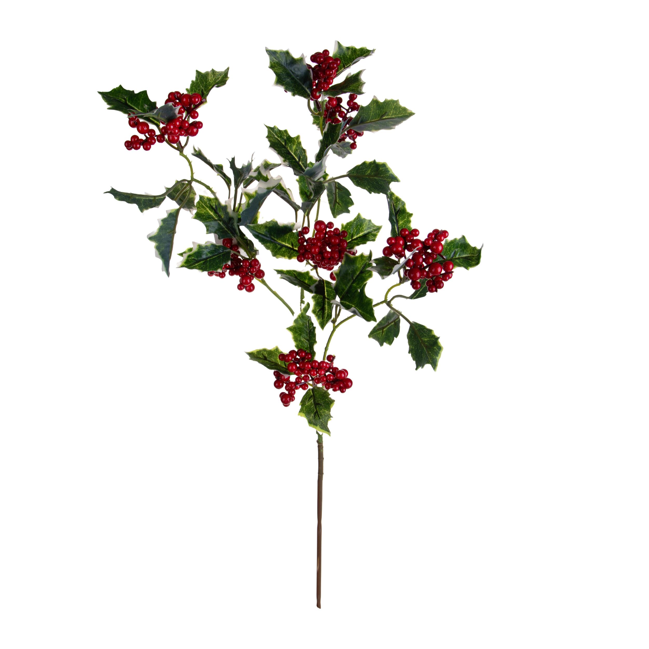 Ramo agrifoglio con ilex - Pezzi 6 - ALTRO - Bianchi Dino SpA