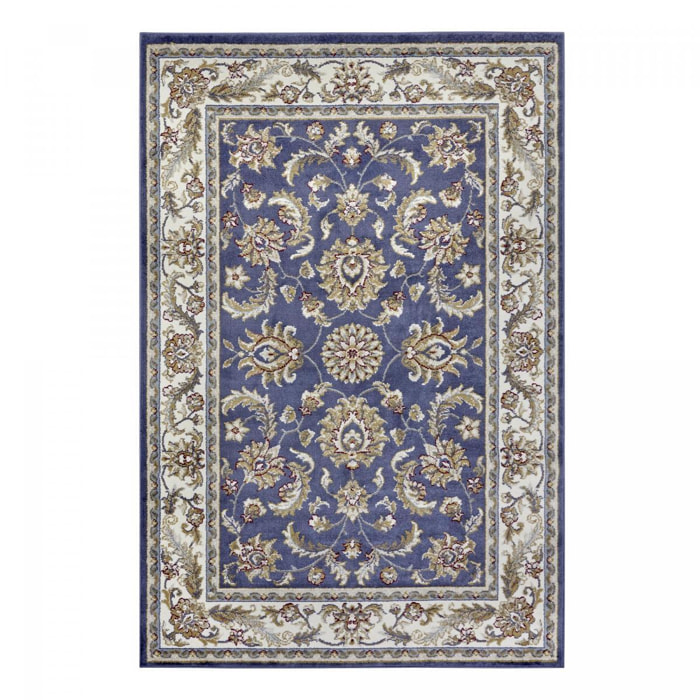 Tapis salon Rectangulaire Oriental