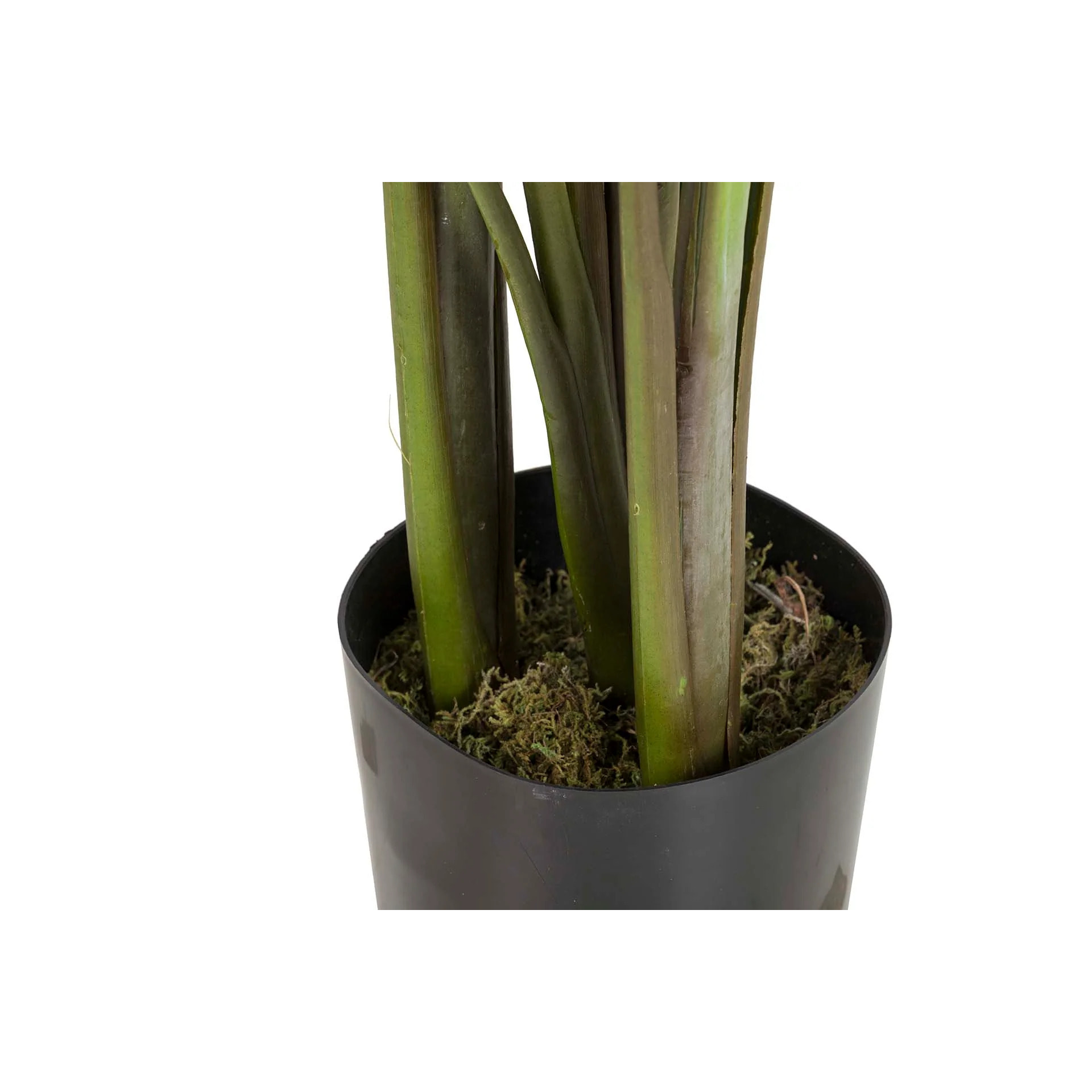 Planta Artificial Rhadhidophora Aureum Con Maceta 80x80x160 Cm