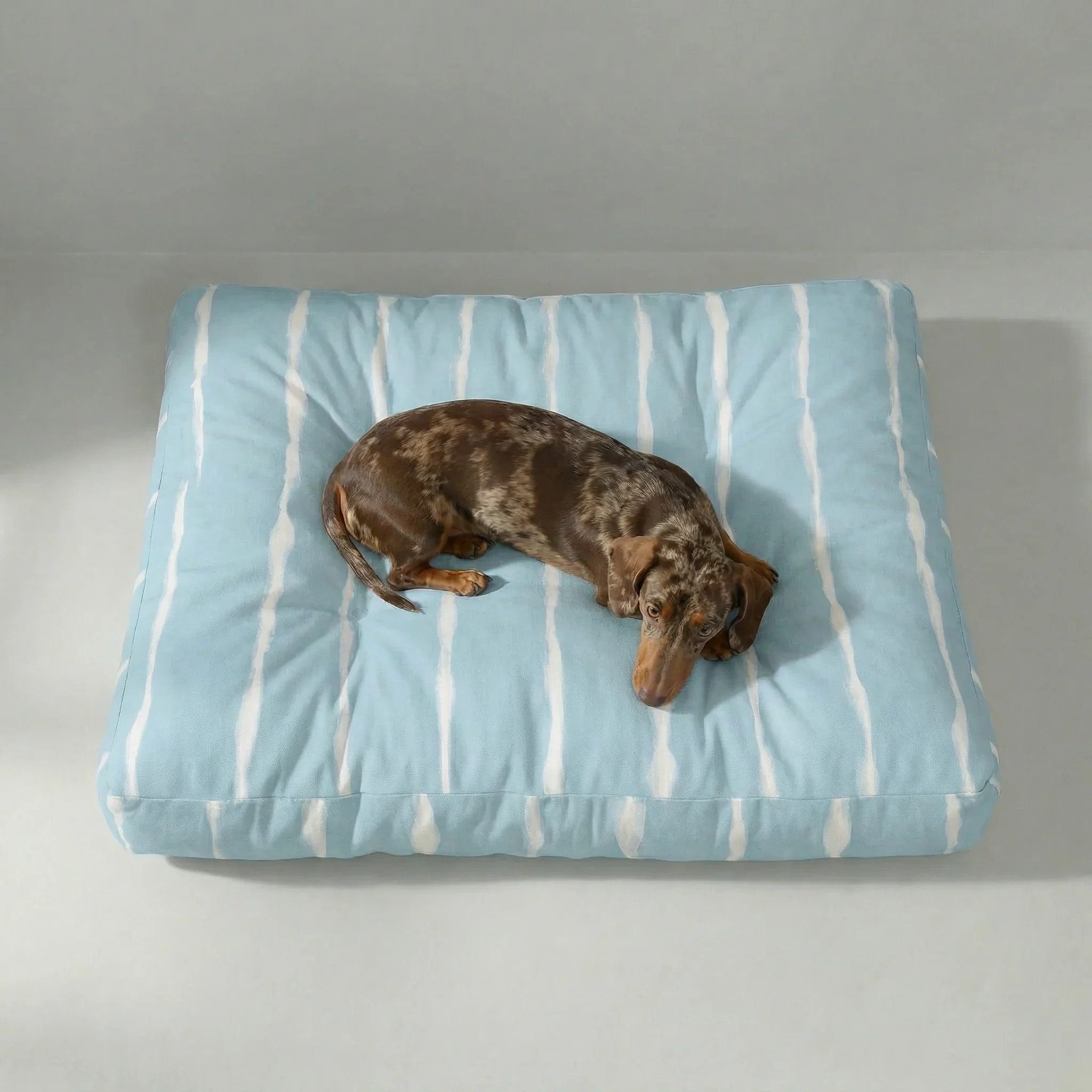 Lit pour animaux antitaches Vera