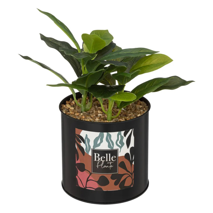 Plante artificielle "Cosy" - pot en métal - H20 cm