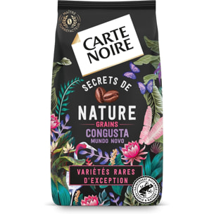 Grains Secret de Nature Congusta 1 KG