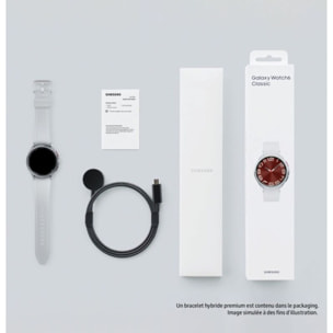 Montre connectée SAMSUNG Galaxy Watch6 Classic BT Argent 43mm