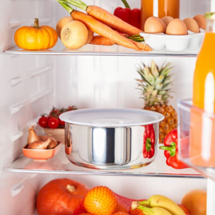 Poêle TEFAL Ingenio Preference L9720402 24 cm