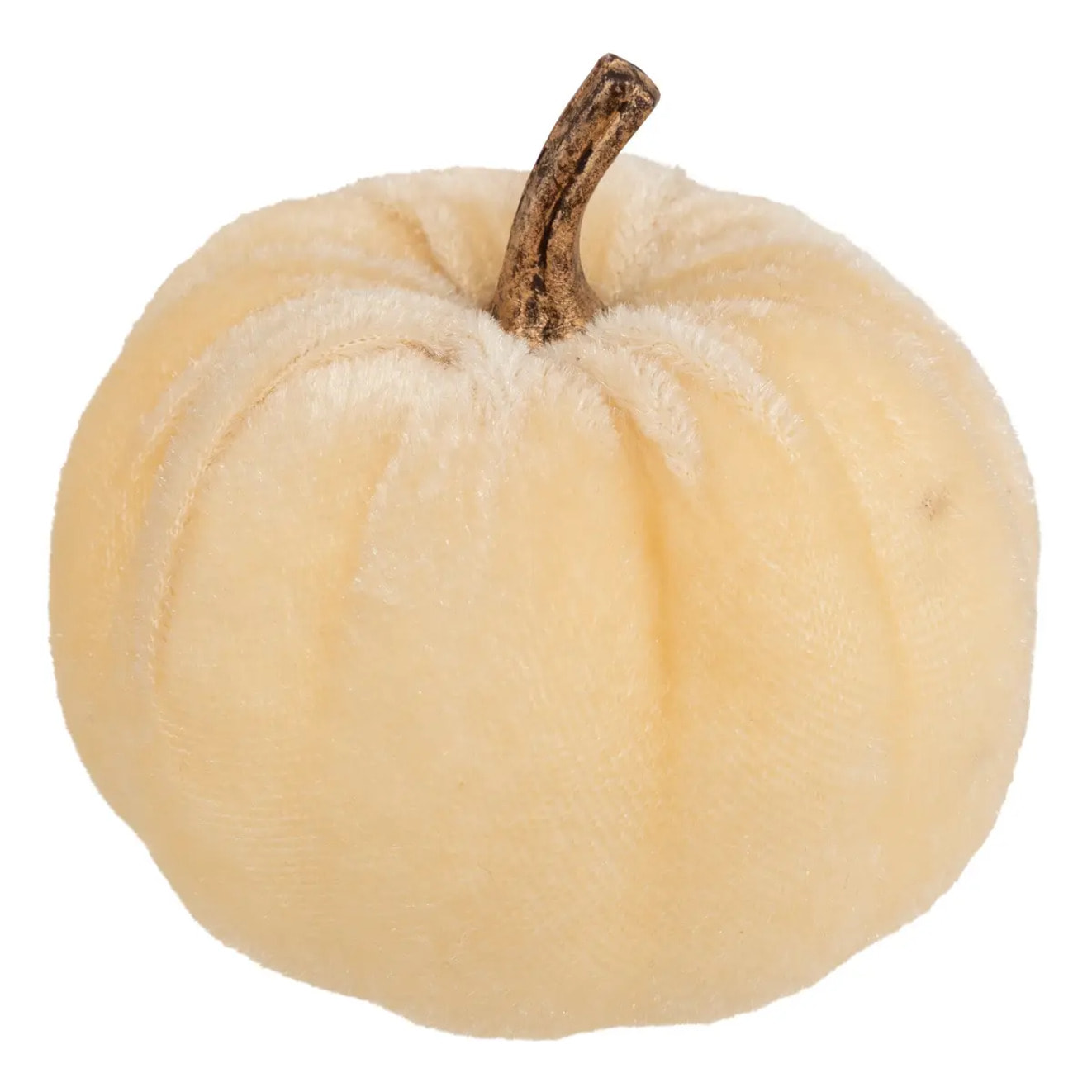 PLF CITROUILLES VELOURS X5