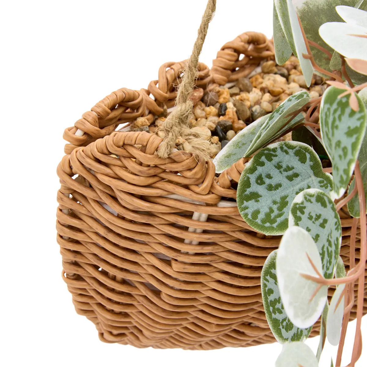 Plante suspendue Mona H.75cm vert