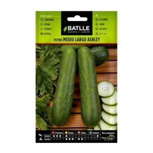 Semillas de Pepino Ashley medio largo Batlle