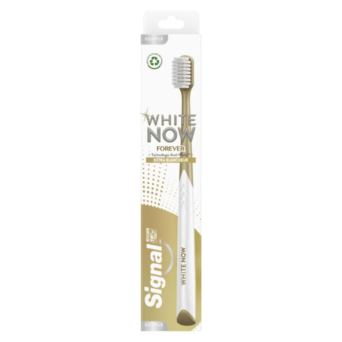 Signal White Now Brosse à Dents Souple Forever Extra Blancheur