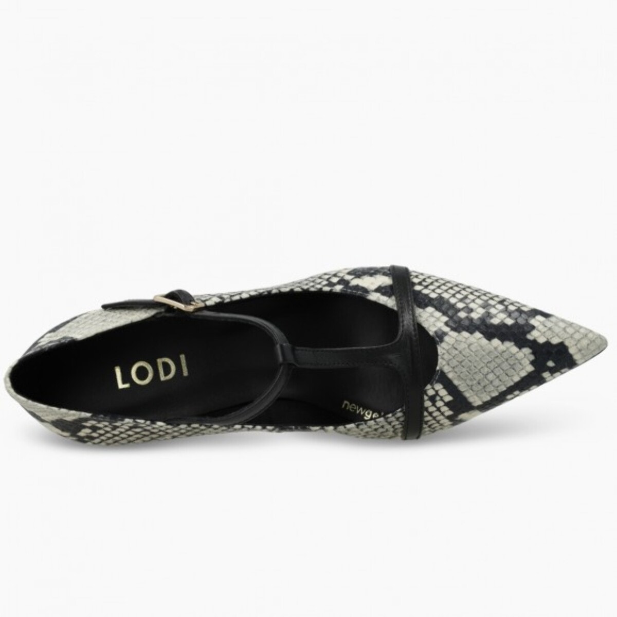 ZAPATOS ANIMAL PRINT KAL5577