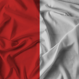 COMPLETO LETTO NATURAL COLOR, 100% Cotone, Made in Italy - ROSSO/GRIGIO CHIARO