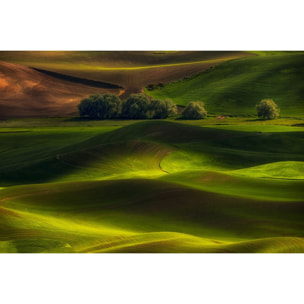 Tableau Colline UsA Tableau alu Dibond