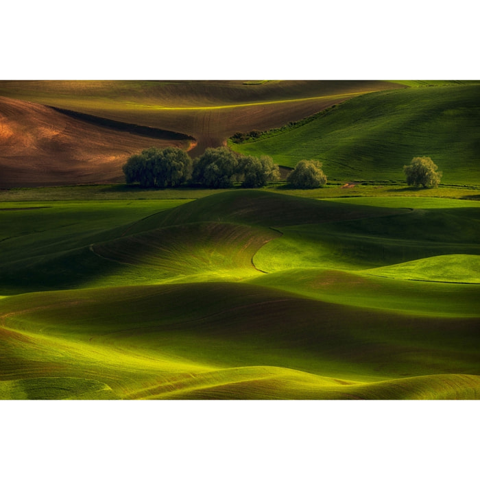 Tableau Colline UsA Tableau alu Dibond