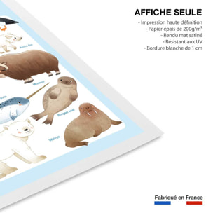 Affiche enfant animaux polaires  Affiche seule